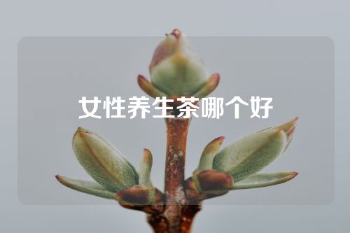女性养生茶哪个好
