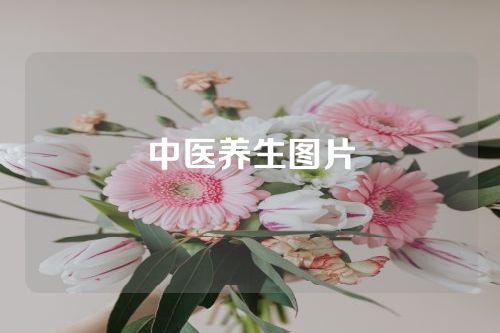 中医养生图片