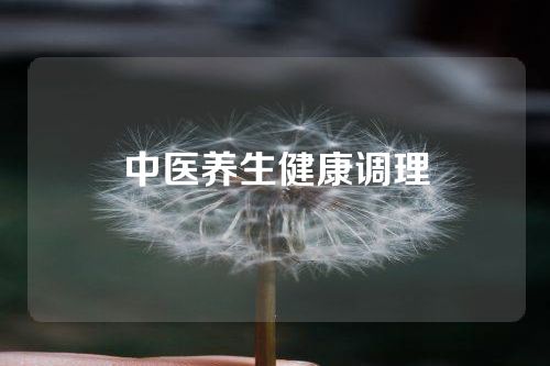 中医养生健康调理
