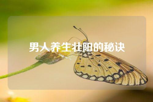 男人养生壮阳的秘诀