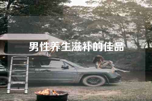 男性养生滋补的佳品