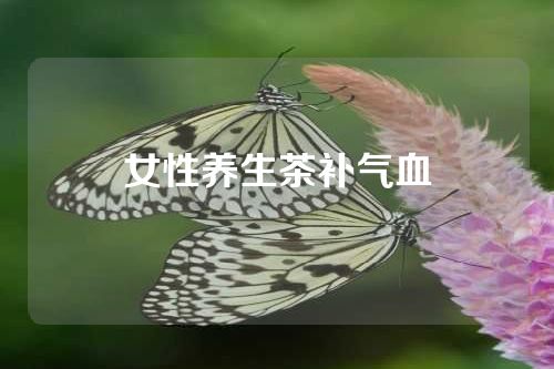 女性养生茶补气血