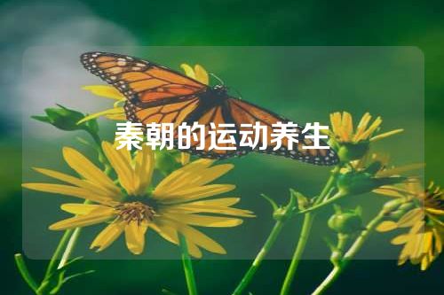 秦朝的运动养生