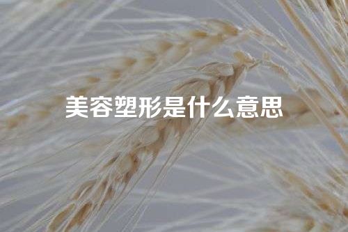 美容塑形是什么意思