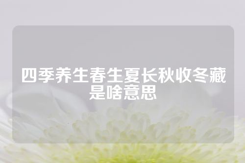 四季养生春生夏长秋收冬藏是啥意思