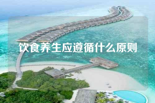 饮食养生应遵循什么原则
