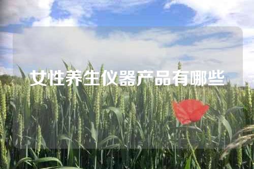 女性养生仪器产品有哪些