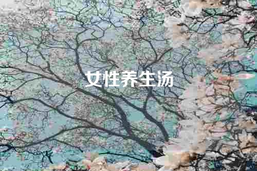 女性养生汤